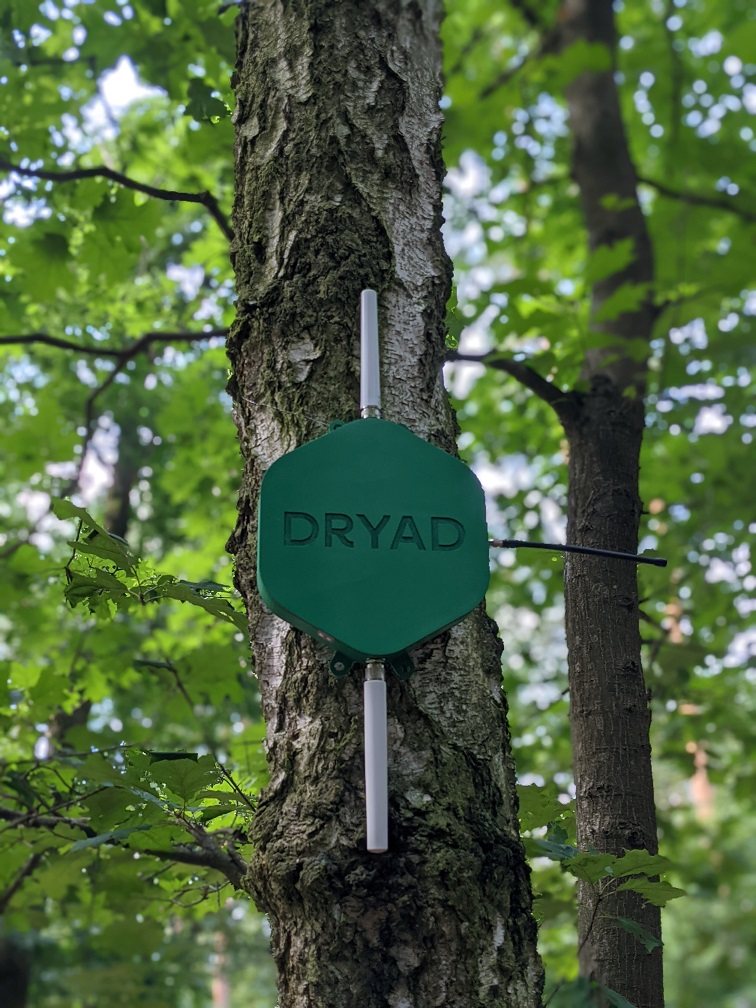 Silvanet Border Gateway with Dryad logo