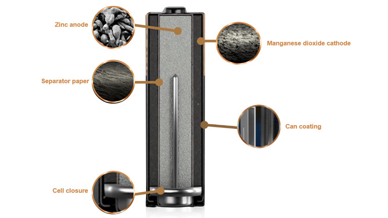 Alkaline-Battery-Cross-Section-EN-Image