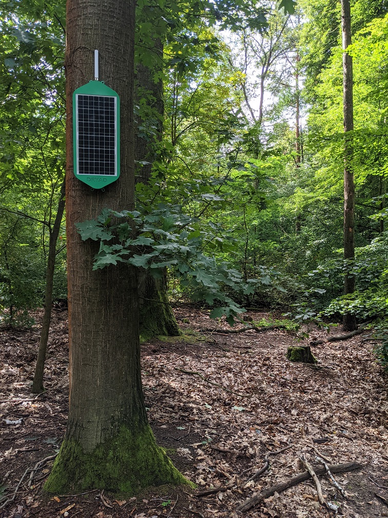 The Silvanet Mesh Gateway on a tree