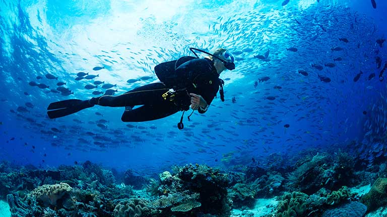 Scuba-Dive-Exploring-Reef-EN-Image